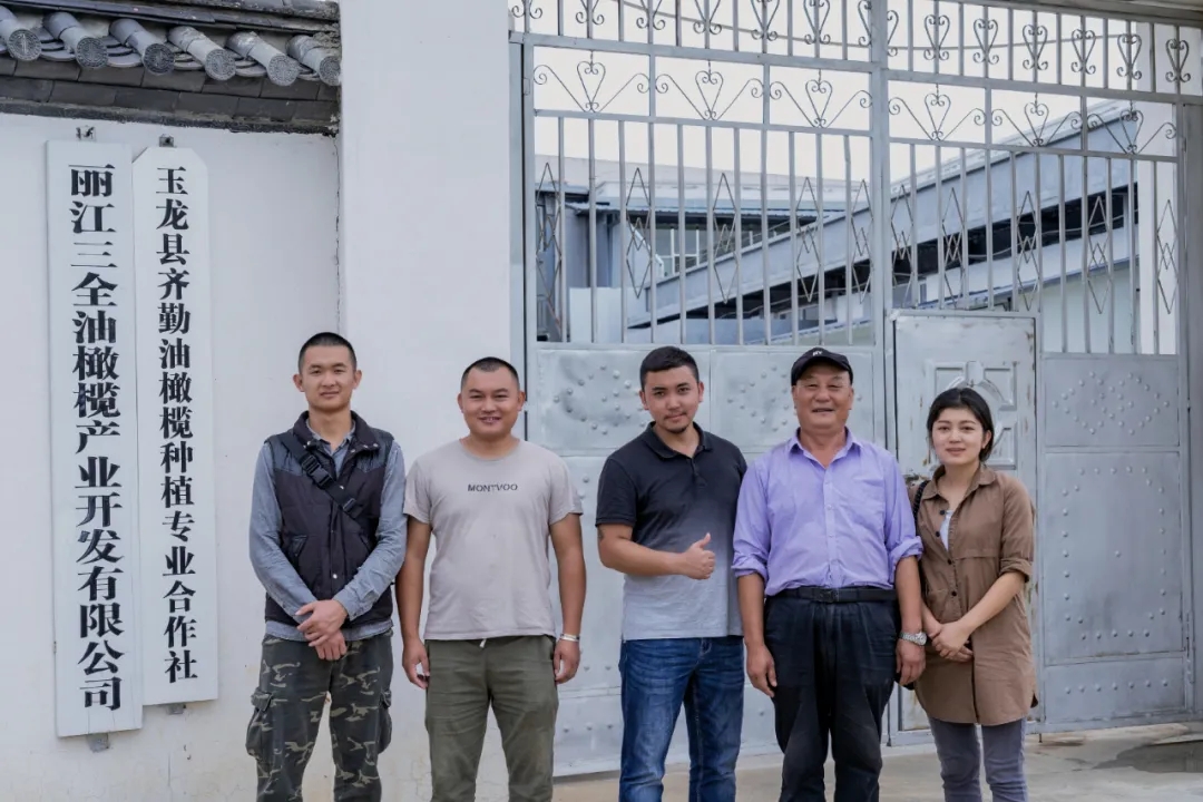 破繭化蝶!麗江這家油橄欖龍頭企業(yè)歷時16年實現(xiàn)種產銷一體化